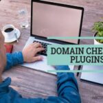Online Domain Checker Works
