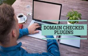 Online Domain Checker Works